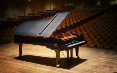 Maecenas Fringilla Augue